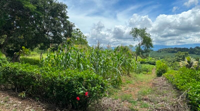 buy farm Costa Rica