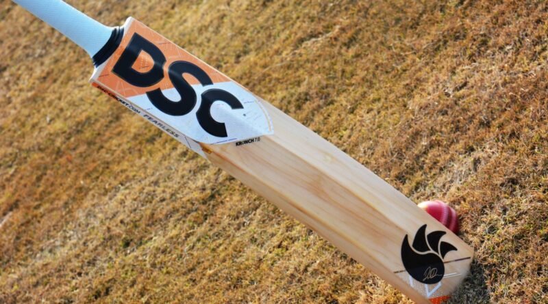 dsc cricket bat