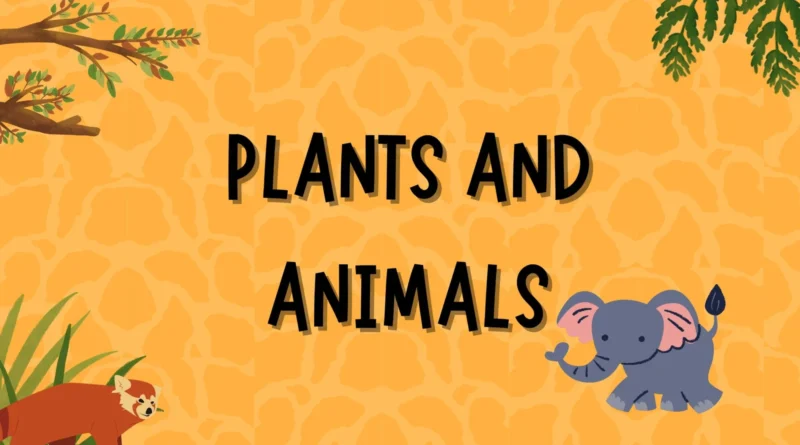 Plants and animals worksheet